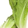 Lettuce: Cos