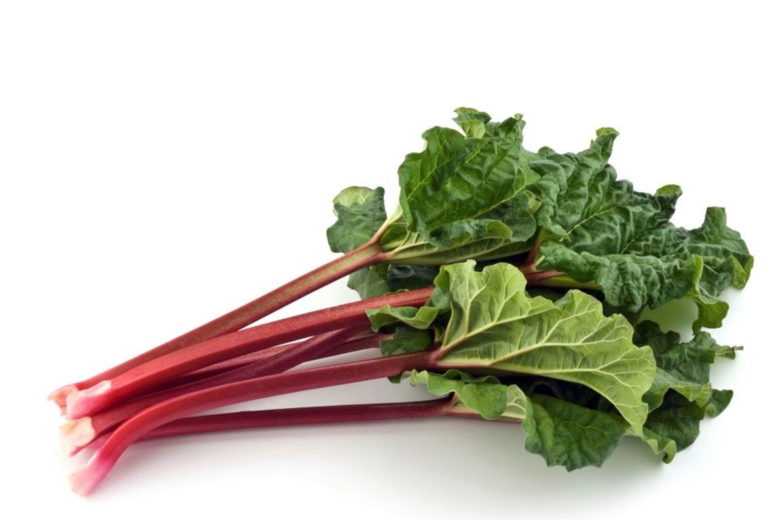 Rhubarb Organic