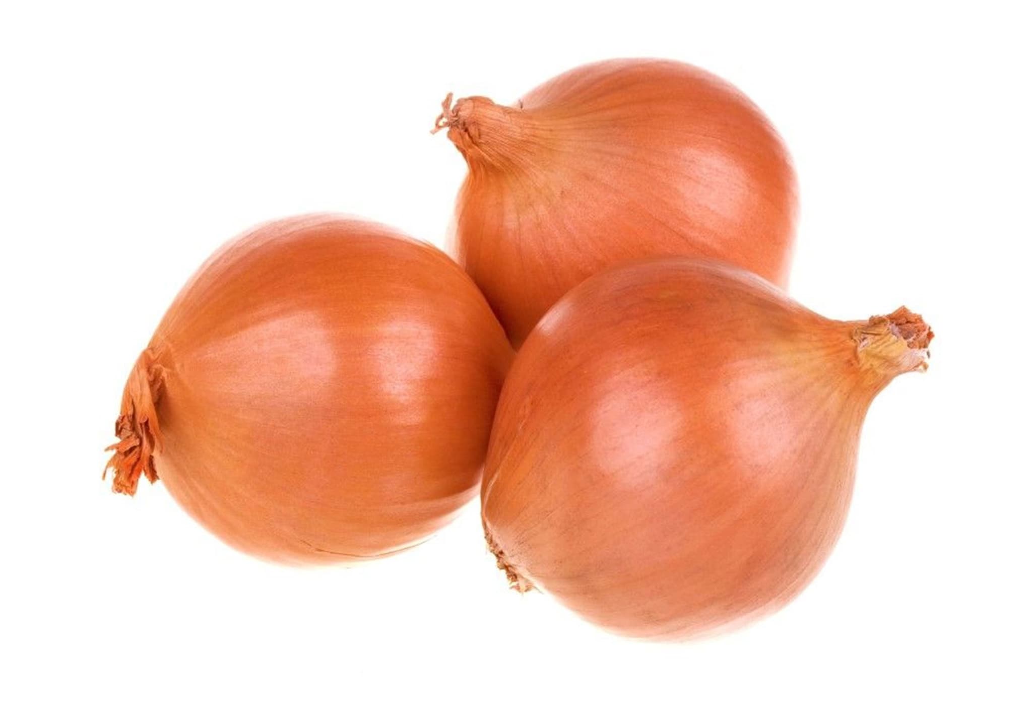 Onions Organic