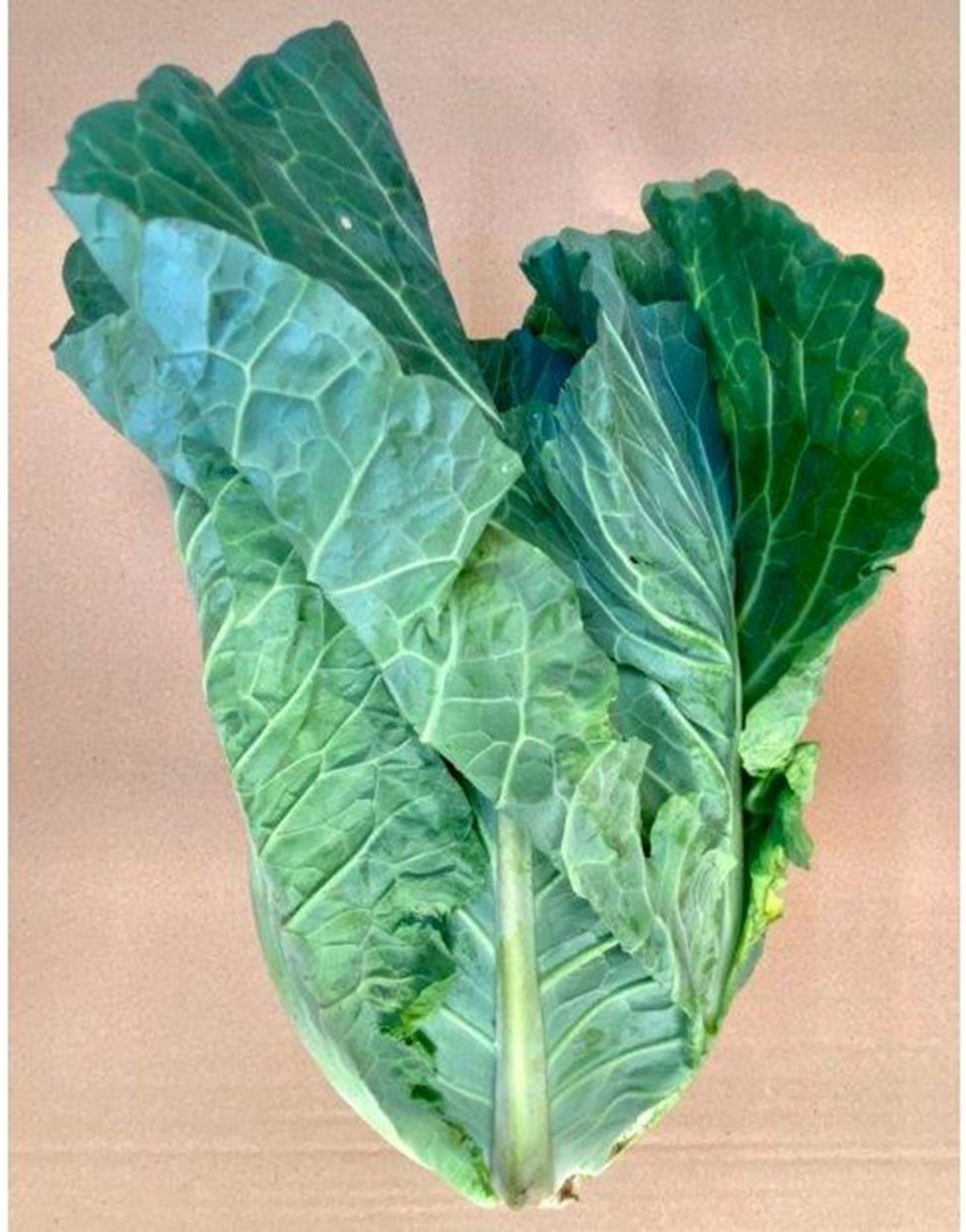 Spring Greens Organic