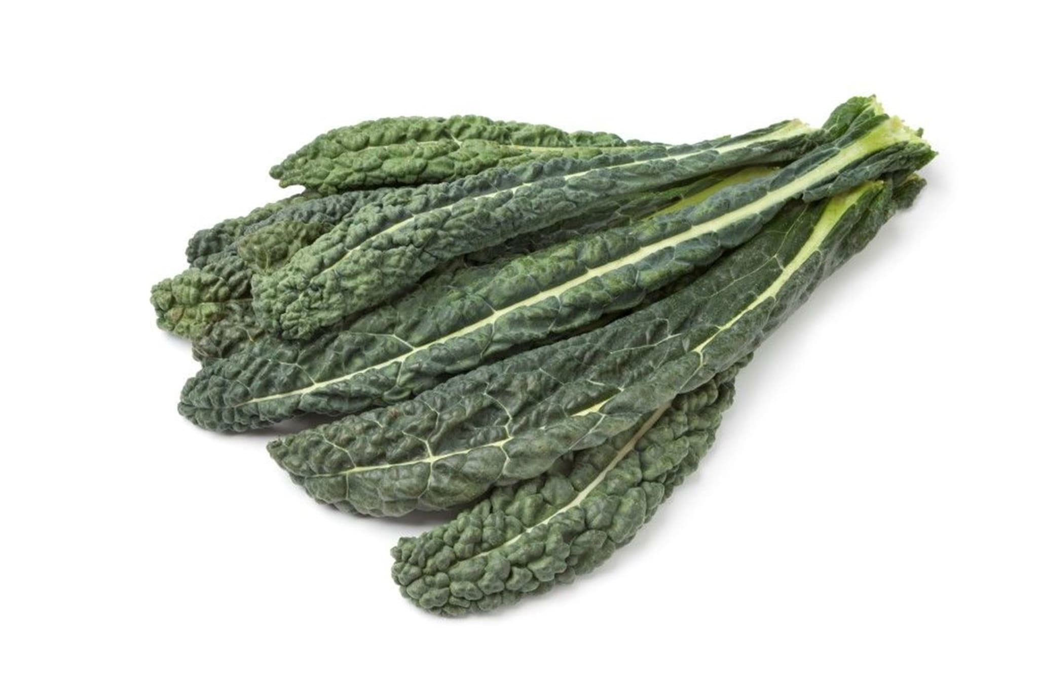 Kale Cavolo Nero Organic