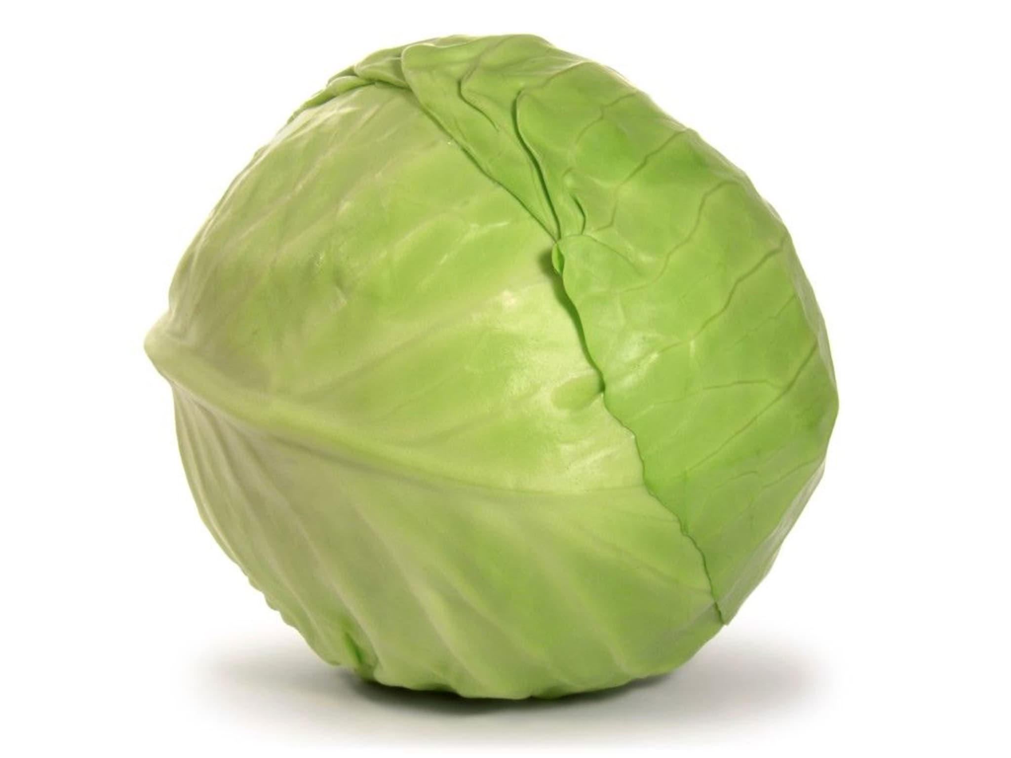 Cabbage White Organic