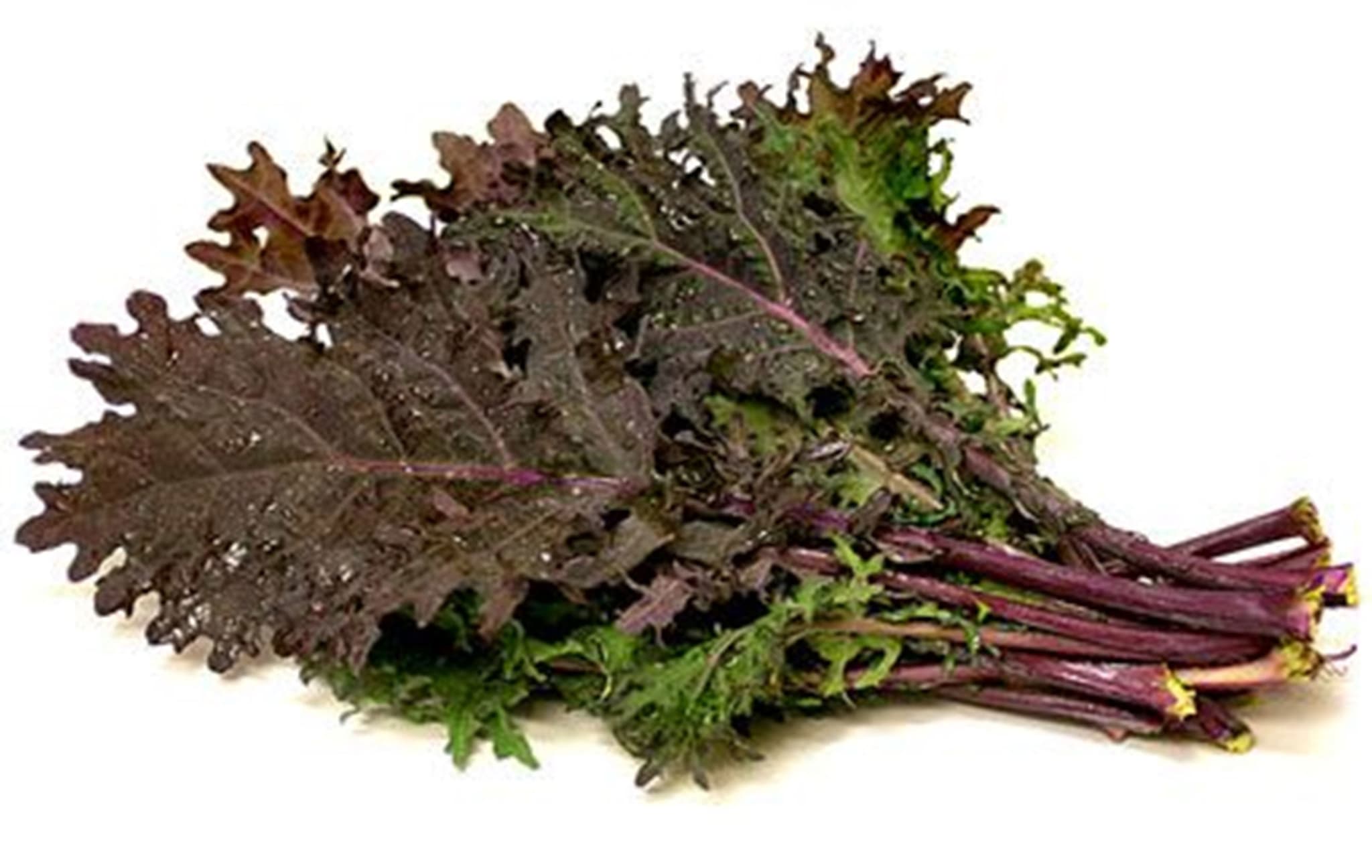 Kale Curly Organic