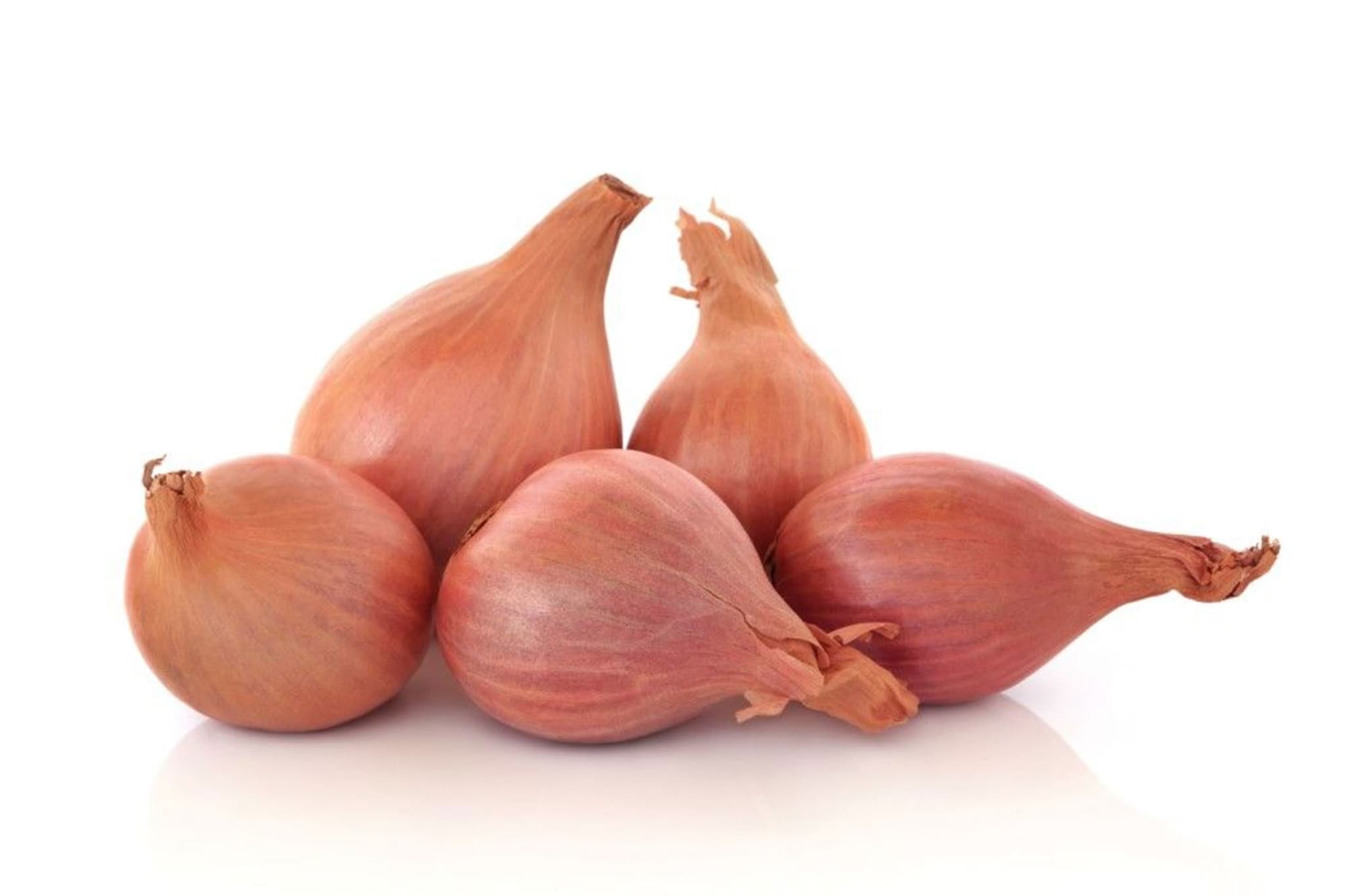 Shallots Organic
