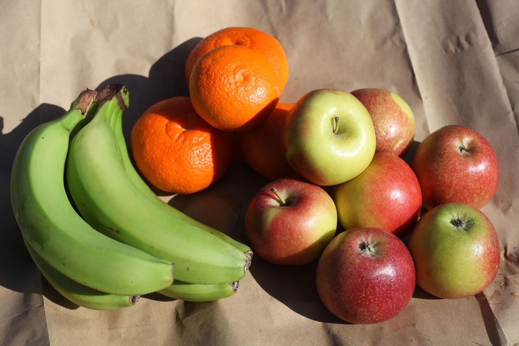 Fruit Standard bag Organic