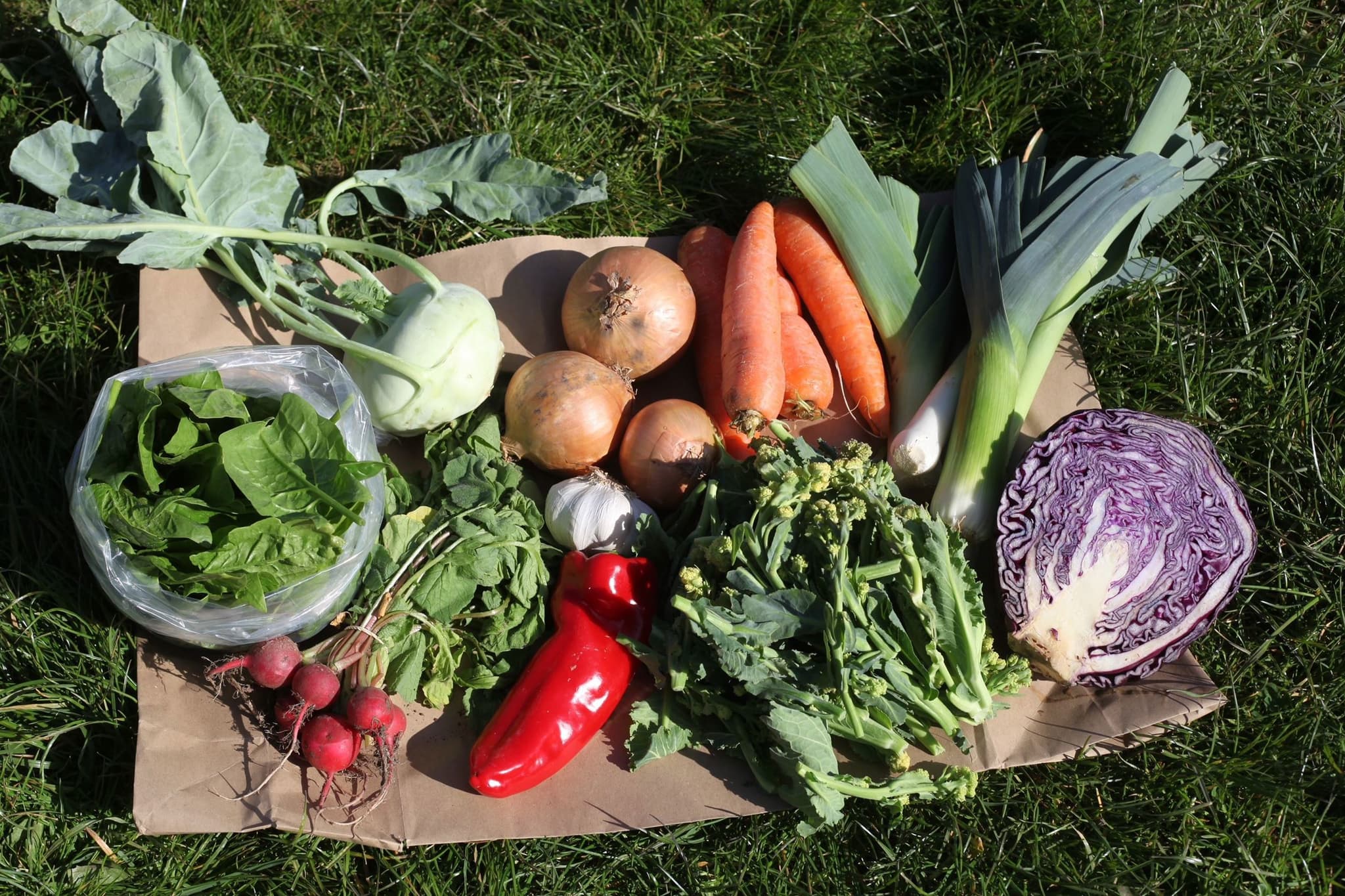 Specialty Organic Veg Boxes