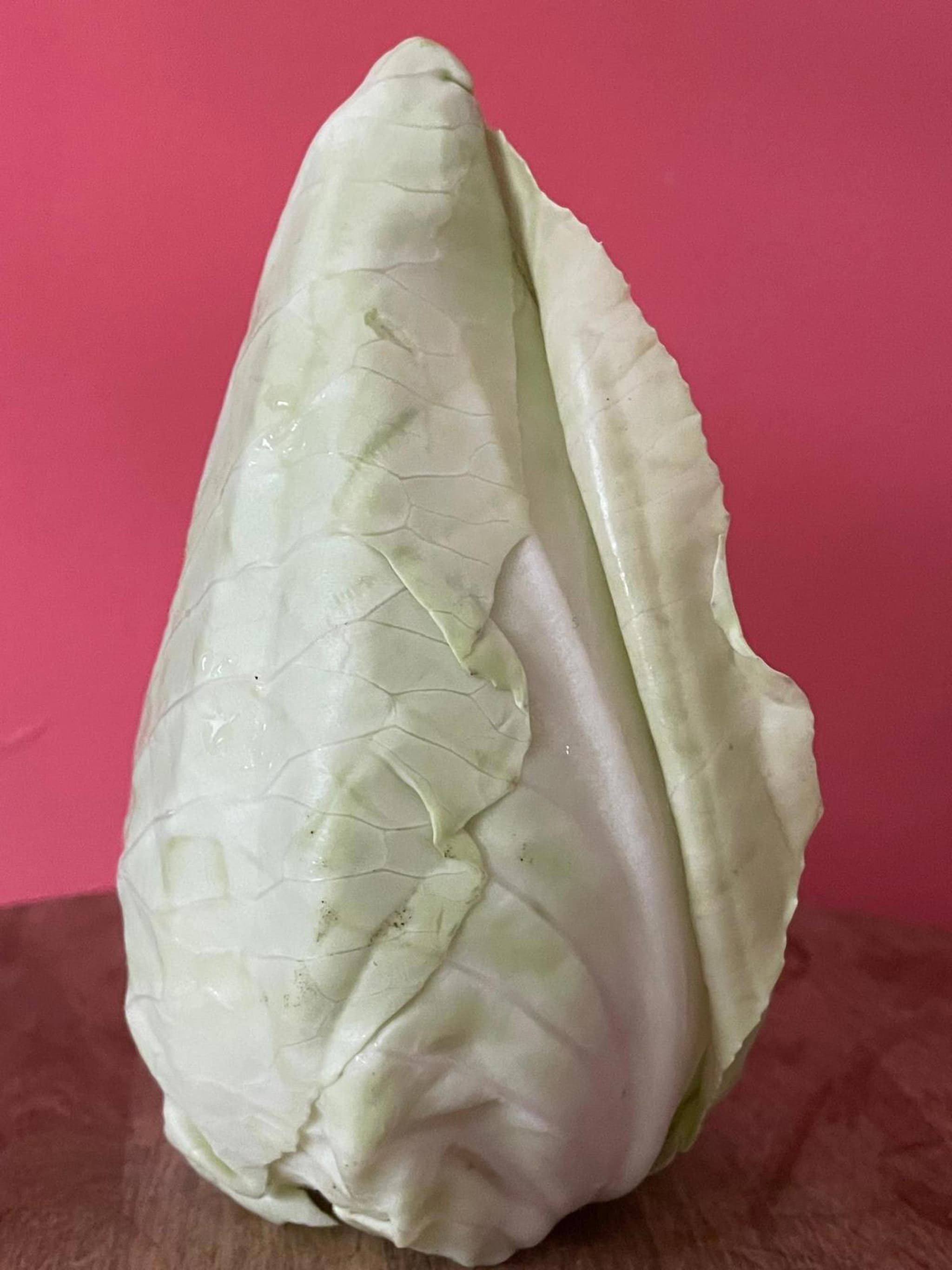 Cabbage Pointed Organic
