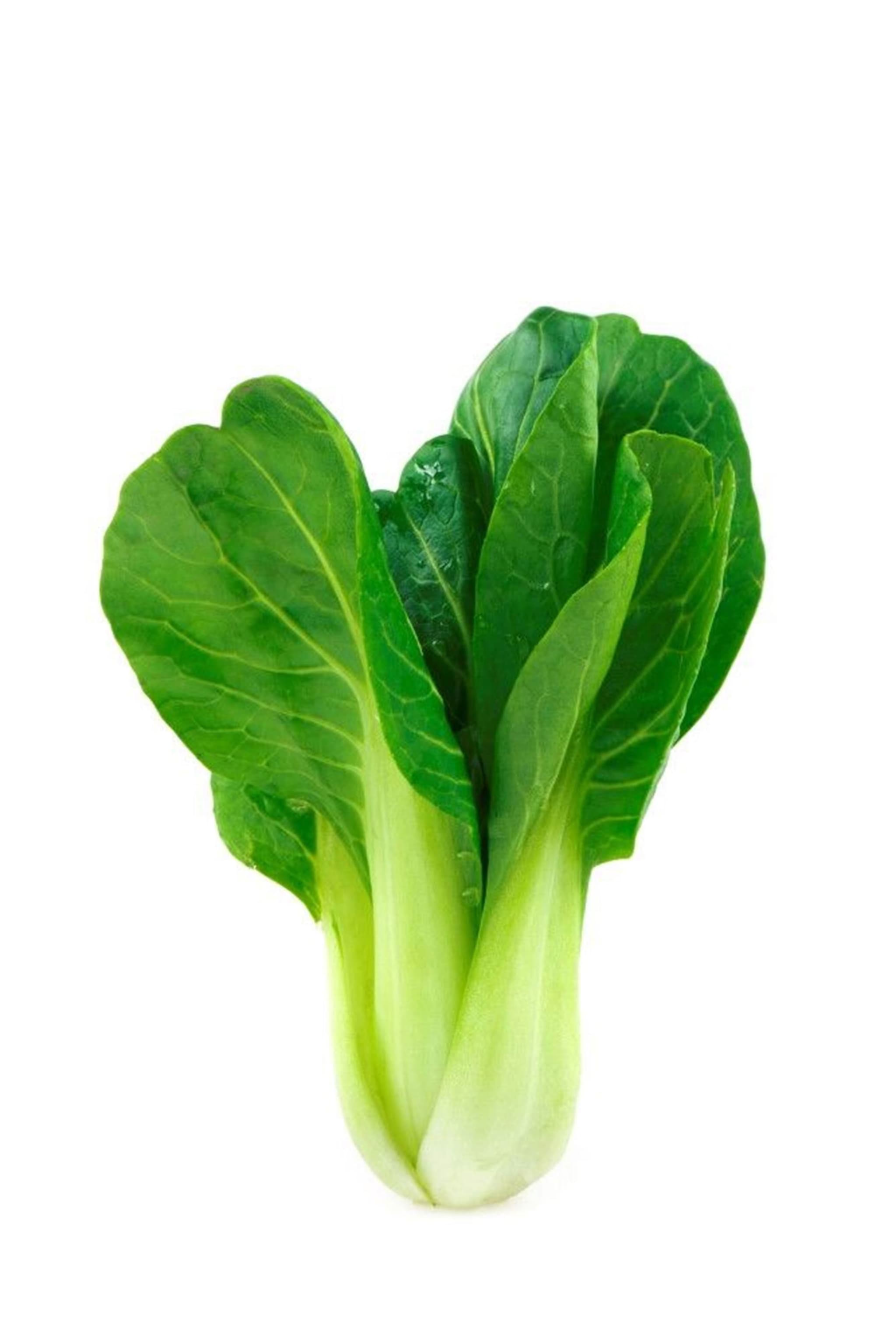 Pak Choi Organic