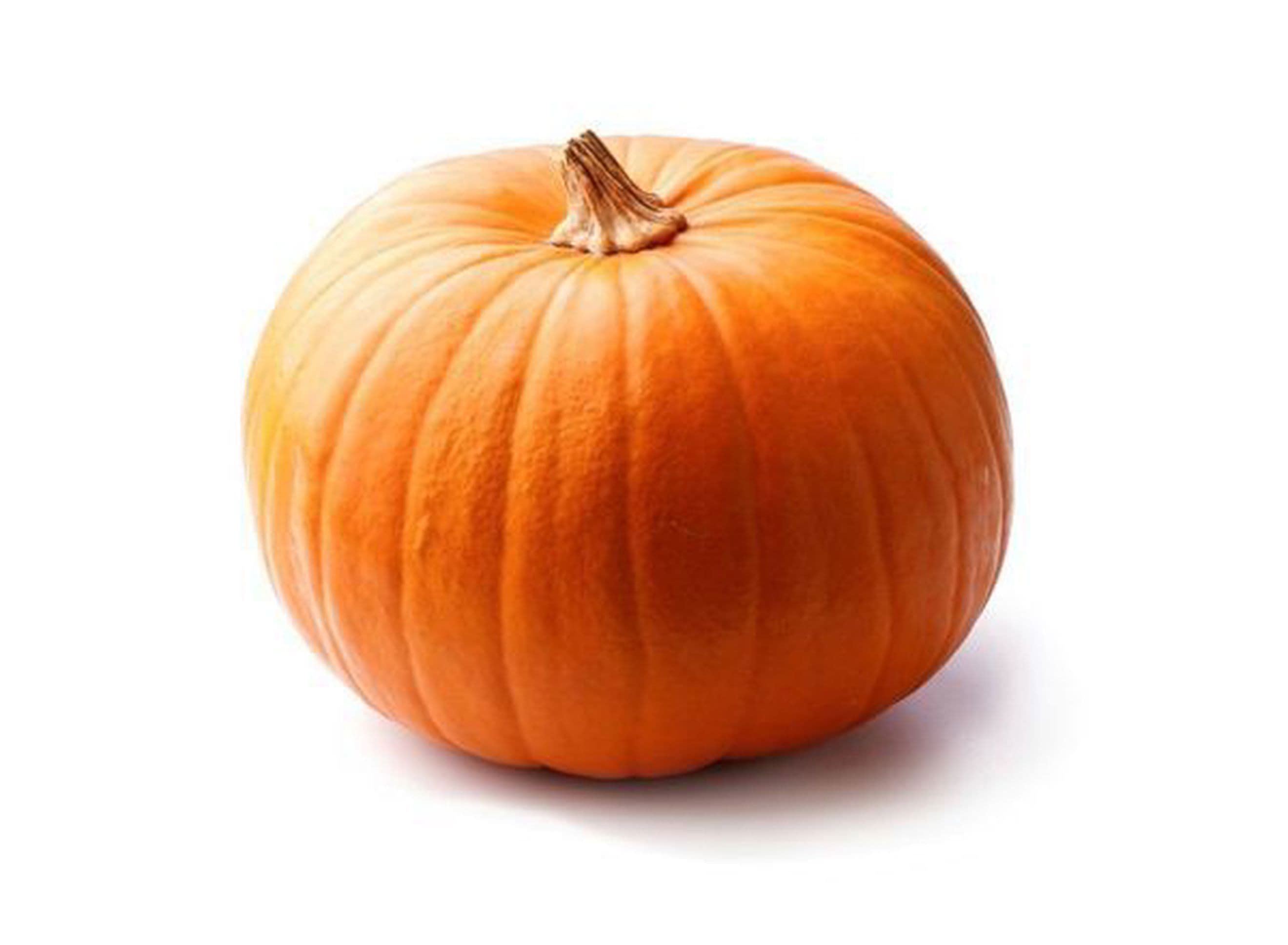 Pumpkin Med Organic