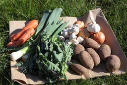 Image of Small Veg Box Organic