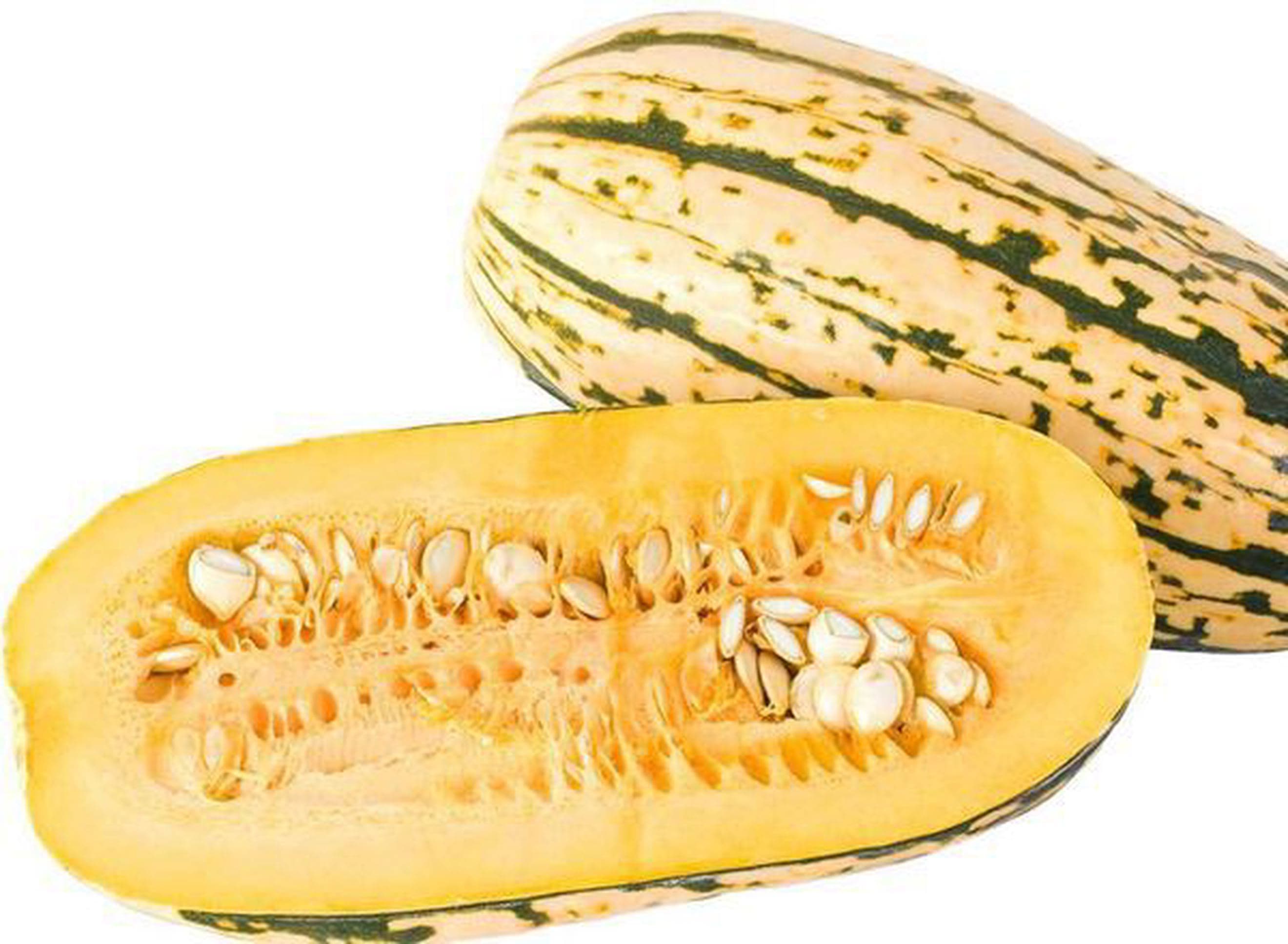 Squash Delicata Organic